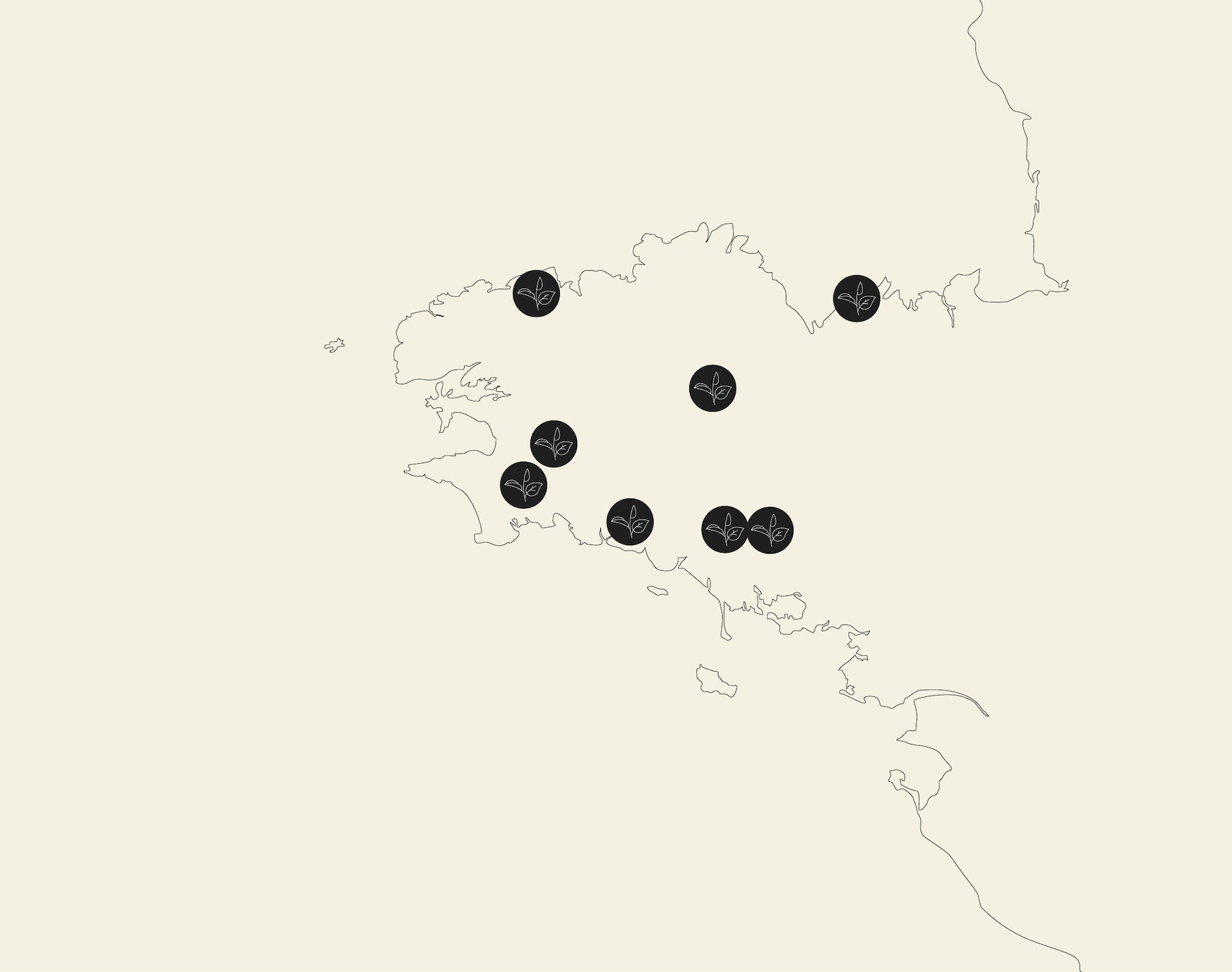Les poducteurs de thé en Bretagne