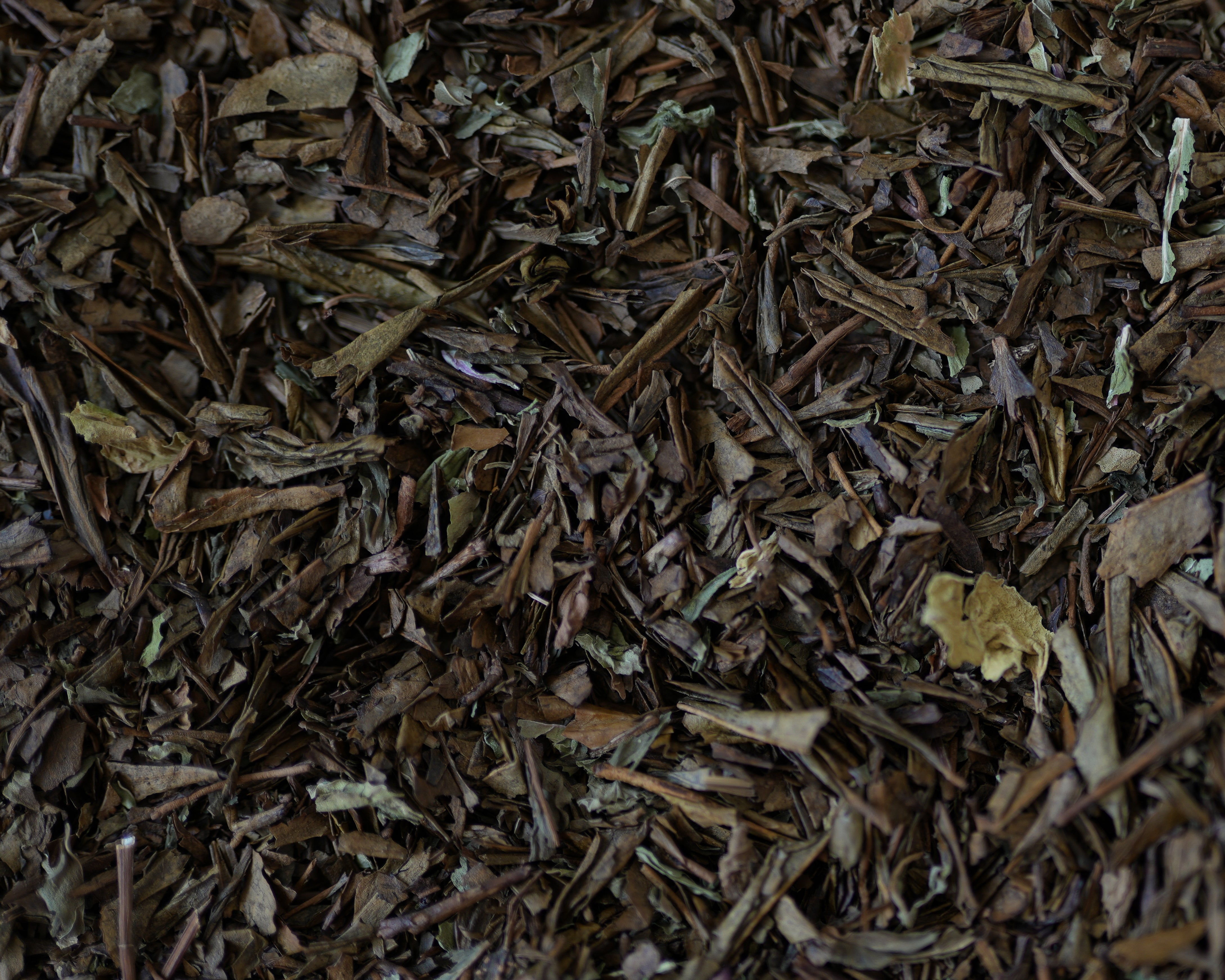 N°18 Hōjicha Menthe "Douceur Mentholée"