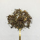 Hojicha Menthe