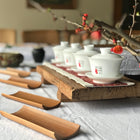 A la Découverte du Camellia Sinensis 🌿 - samedi 4 juillet