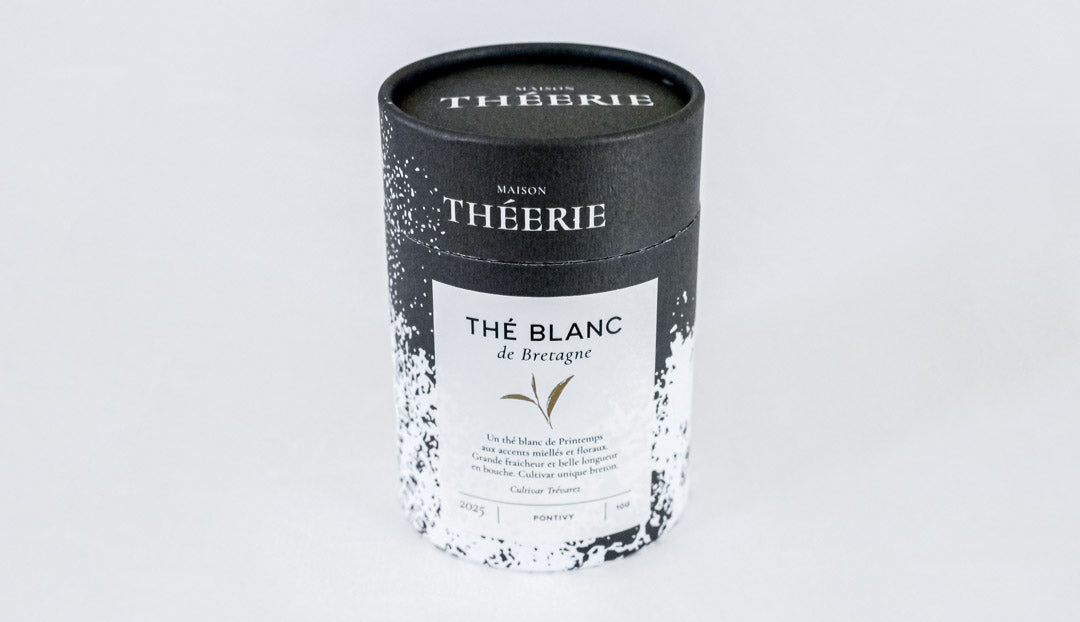 thé blanc pontivy trevarez