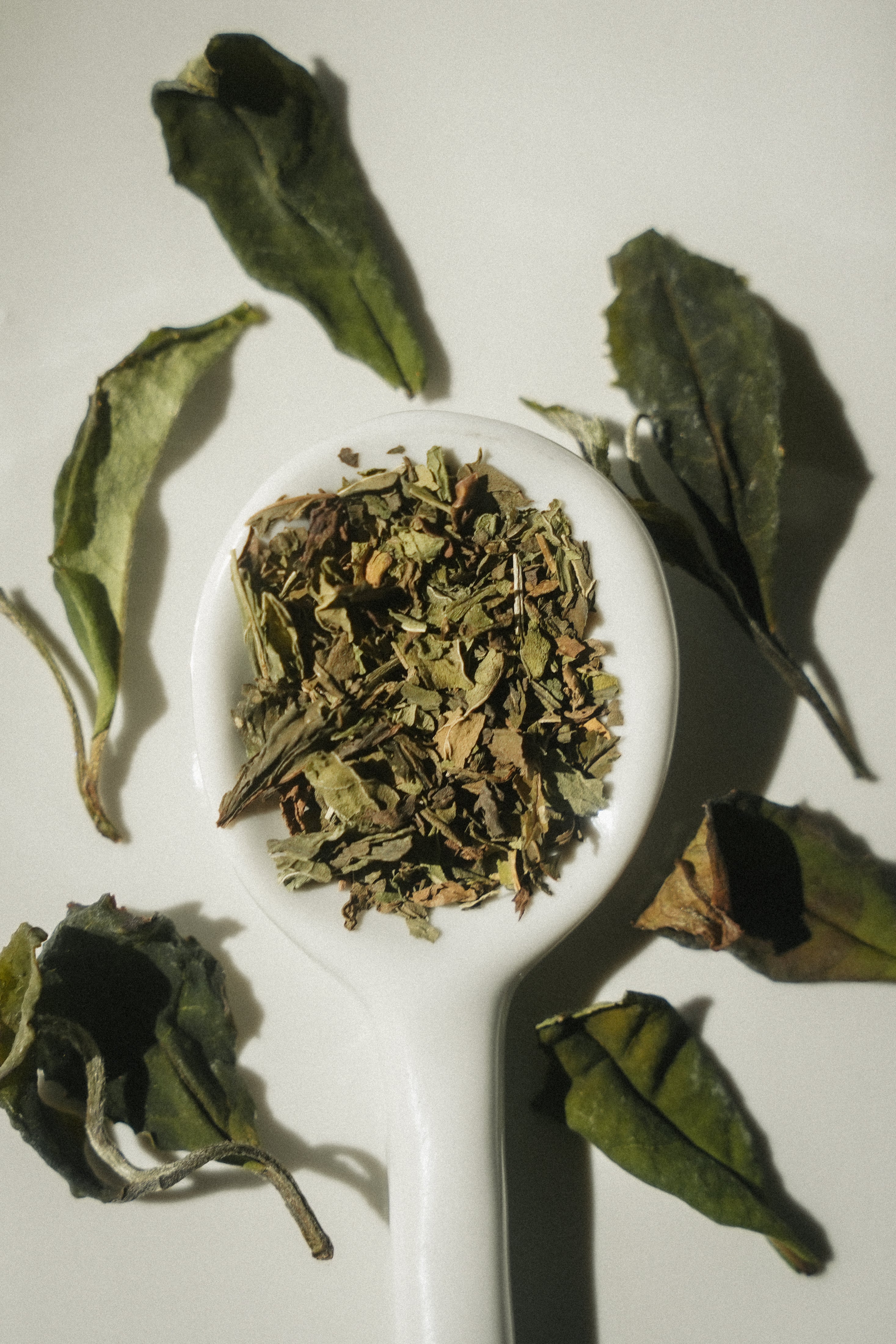 thé blanc breton menthe Nanah