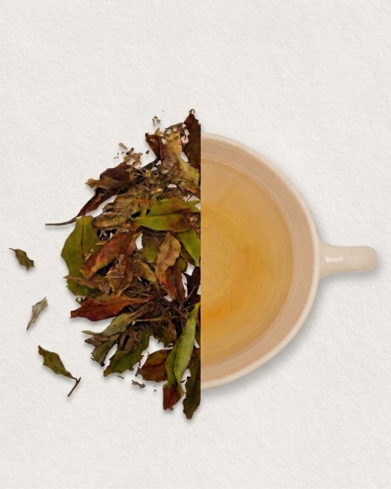 the blanc breton menthe