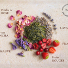 the vert fraise rose fruits rouges