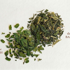the vert menthe 